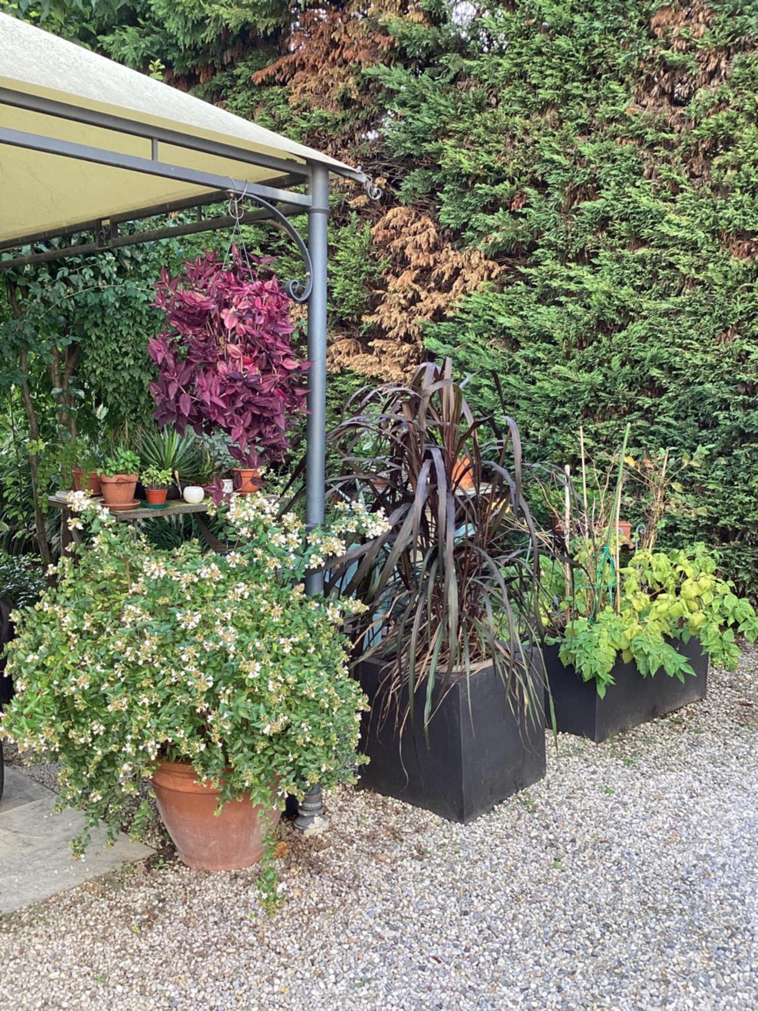 Il Villino Della Duchessa Bed and Breakfast Parma Buitenkant foto